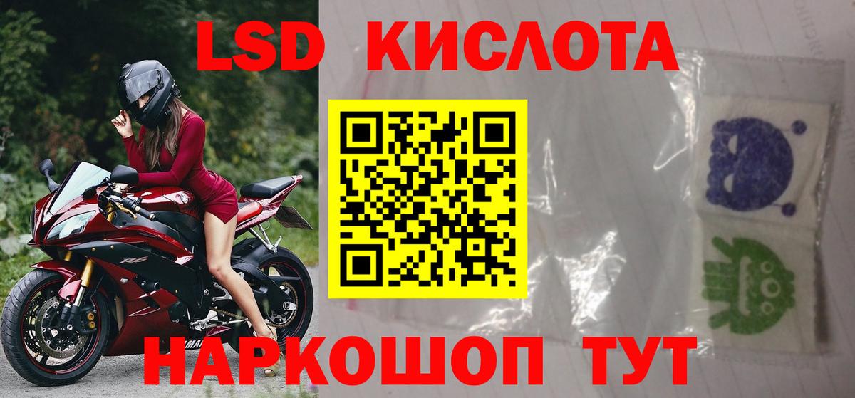 Псилоцибиновые грибы Волжский