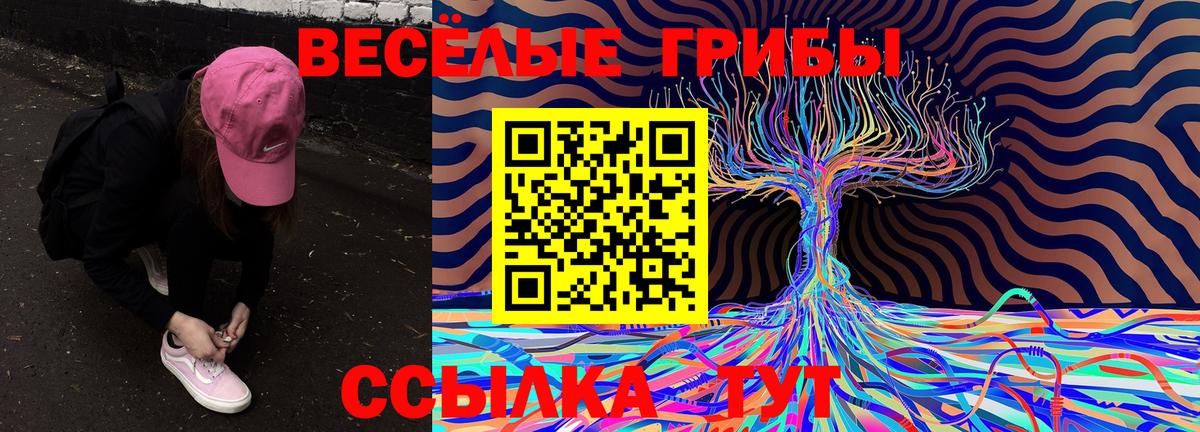 Псилоцибиновые грибы прущие грибы Волжский