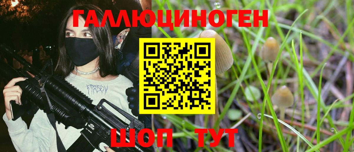 Псилоцибиновые грибы MAGIC MUSHROOMS  Вход с VPN  Волжский  Галлюциногенные грибы Psilocybine cubensis 